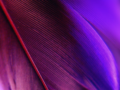 [コンプリート！] iphone 壁紙 紫 かわいい 782328-Iphone 壁紙 紫 かわいい