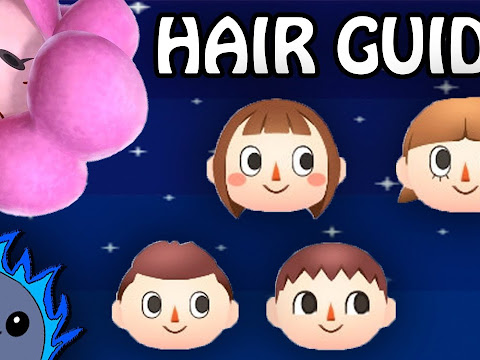 Animal Crossing New Leaf Hair