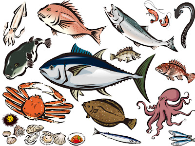 魚 イラスト リアル 無料 の最高のコレクション 動物ゾーン