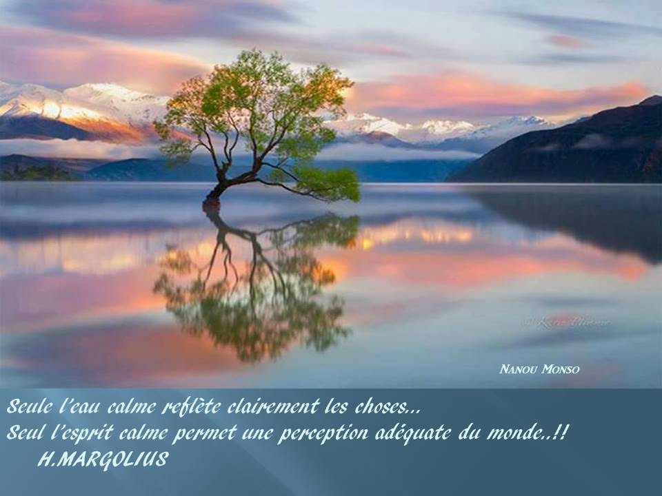 Citation Sur Le Calme De La Nature Killopps