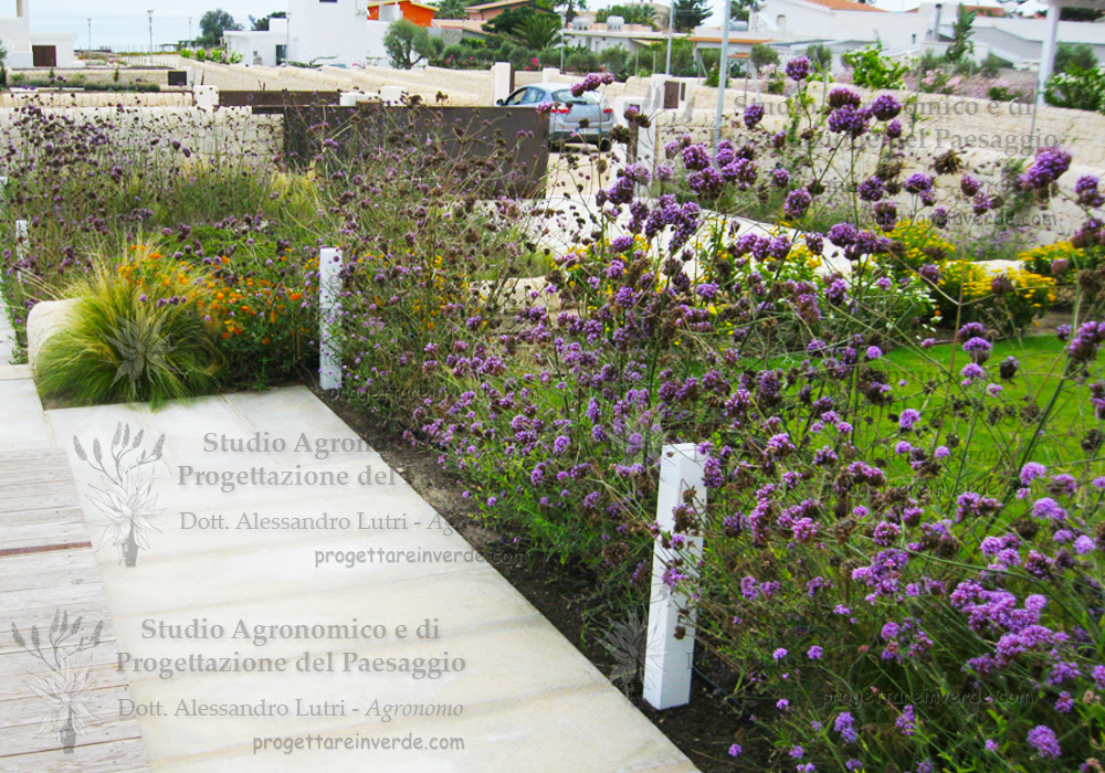 Scopri le piante mediterranee adatte a te. Architetto Paesaggista Giardino Mediterraneo Siracusa