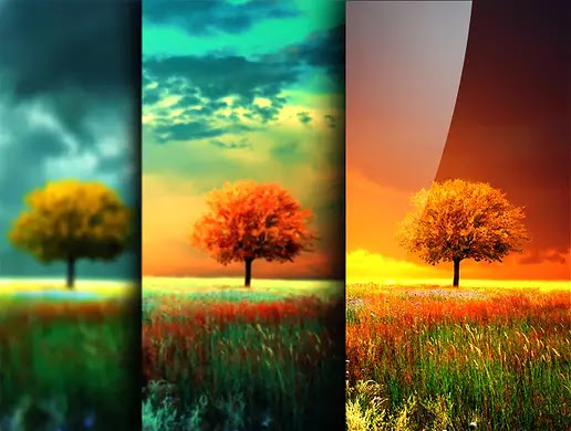 Live wallpaper is a great feature in your android phone that enables you to set amazing and animated wallpapers as the background. Why You Should Not Set Live And Colored Wallpapers On Your Smartphone Gadgets To Use