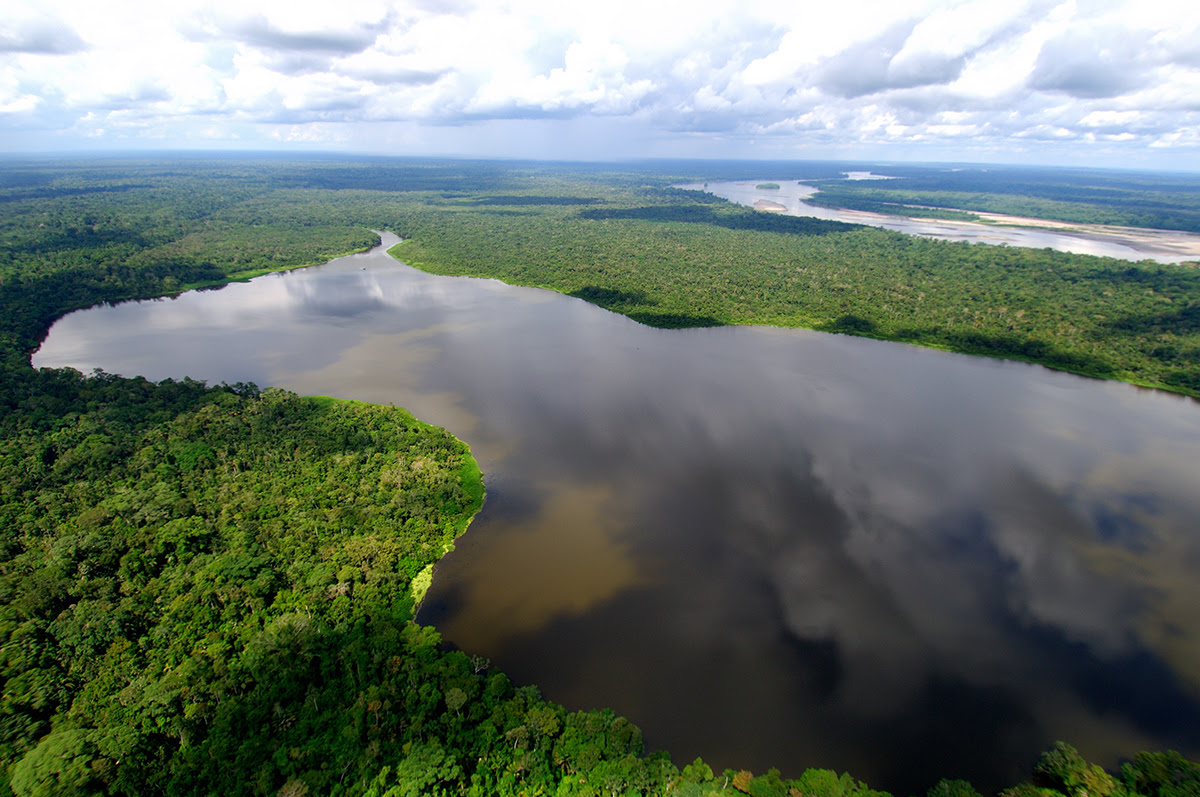 amazonia_equador_foto_wikimedia_commons_1200x800.jpg