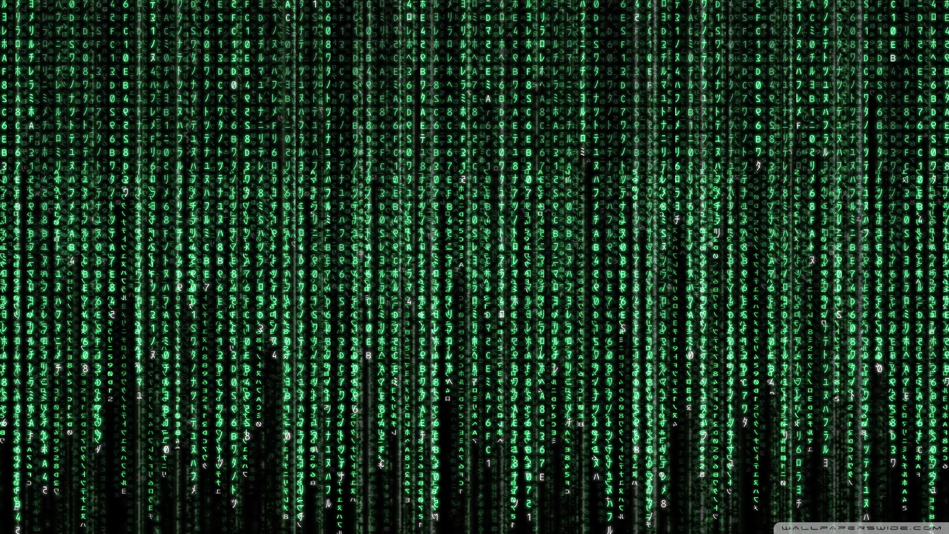 無料ダウンロードかっこいい Linux 壁紙 最高の花の画像