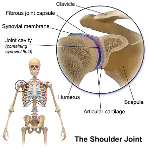 Here's the complete guide to rid your shoulders of pain while preventing future injuries and flare ups. Shoulder Pain Treatment Osteopathy Wales Penarth Uk