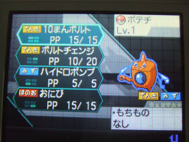 人気のダウンロード ポケモン ロトム たまご 100 で最高の画像