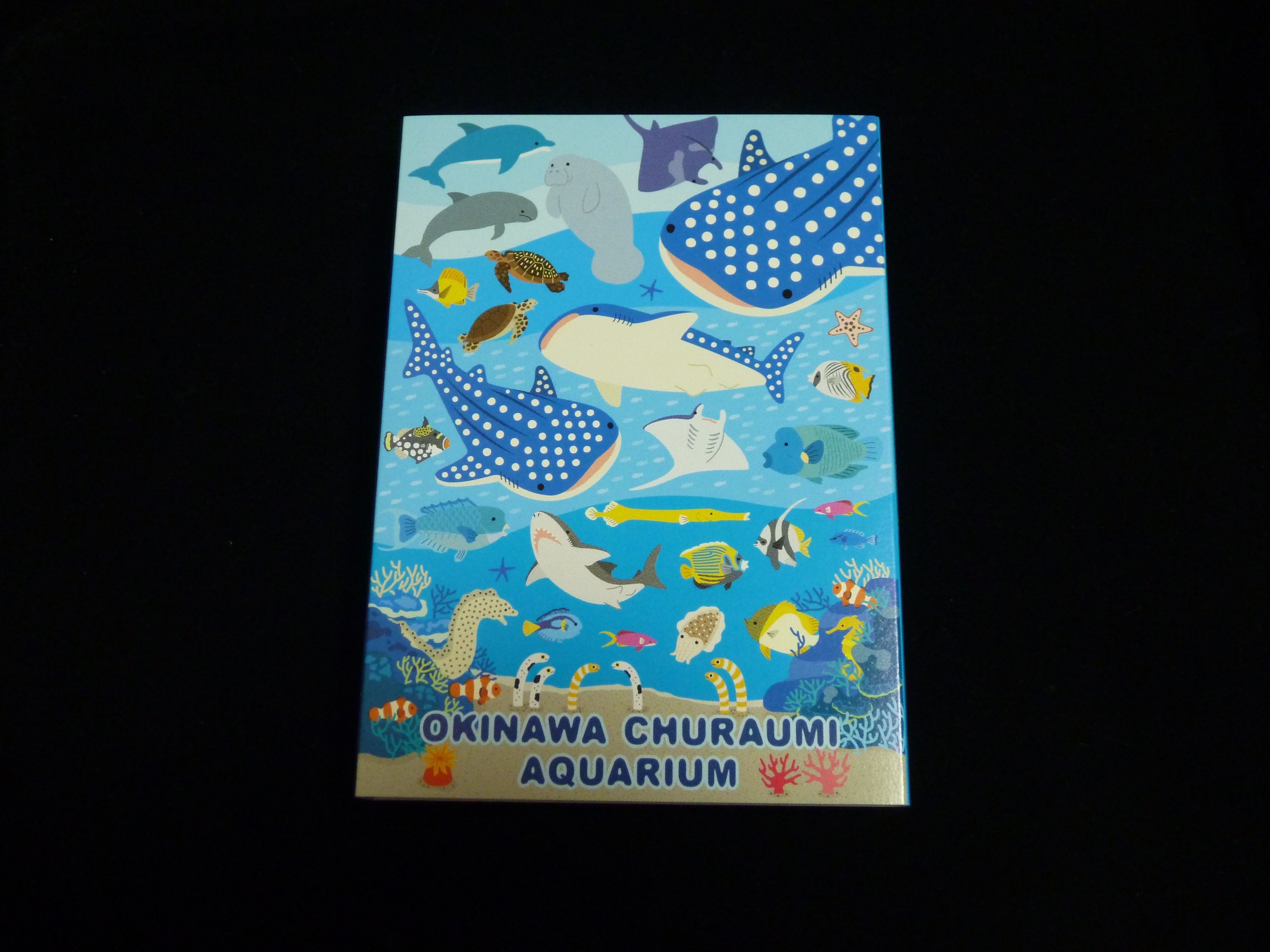50 かわいい 沖縄 海 イラスト ディズニー画像のすべて