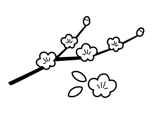 かわいい 梅 の 花 イラスト 白黒 Ngagolak