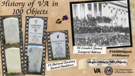 history of va in 100 objects