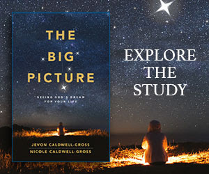 The Big Picture: Explore the study