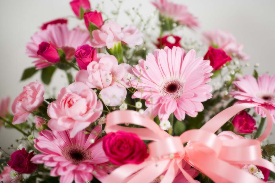 綺麗な壁紙 花 無料 すべての美しい花の画像