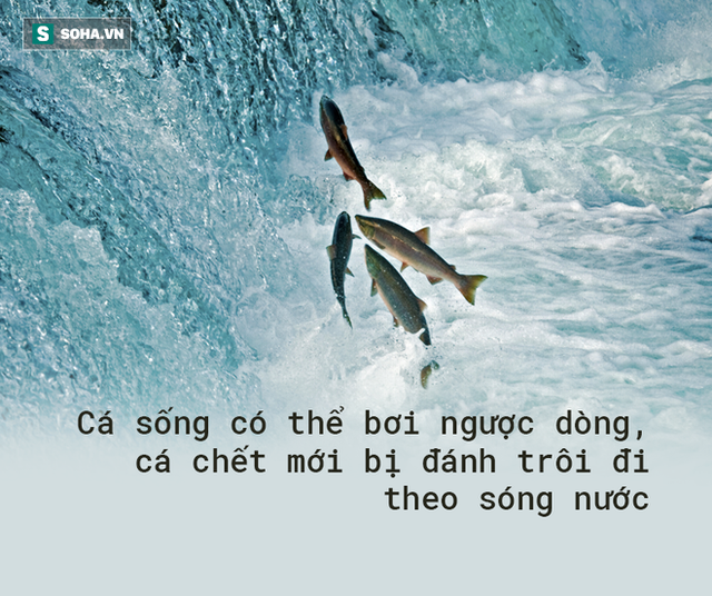 25 cȃu nói có thể thay ᵭổi cuộc ᵭời: Bȃy giờ ᵭọc vẫn chưa muộn! - Ảnh 1.
