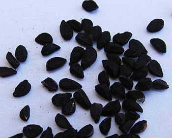 Check spelling or type a new query. Spices Names In Gujarati Whatiscalled Com