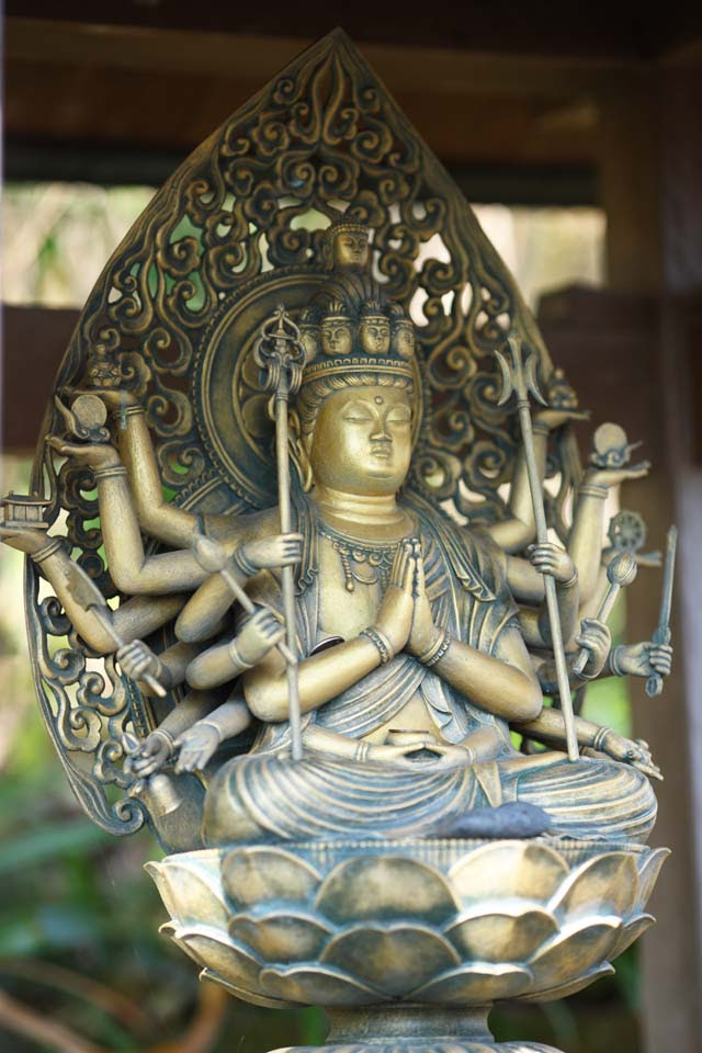 最高かつ最も包括的な仏像 壁紙 最高の花の画像