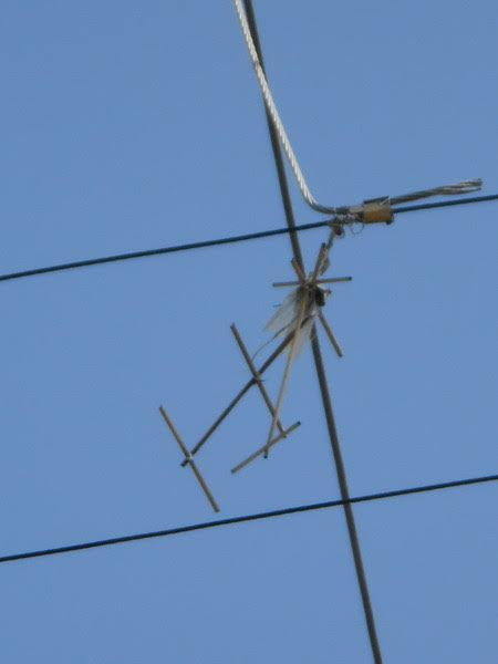 Restos de antena enredados en cable (foto del autor)