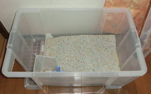 Maybe you would like to learn more about one of these? Storage Bin Litter Box House Petdiys Com
