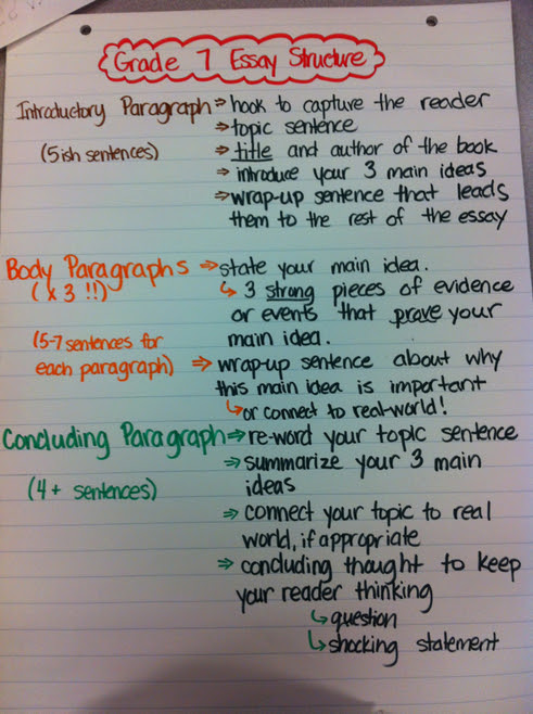 argumentative essay 7th grade