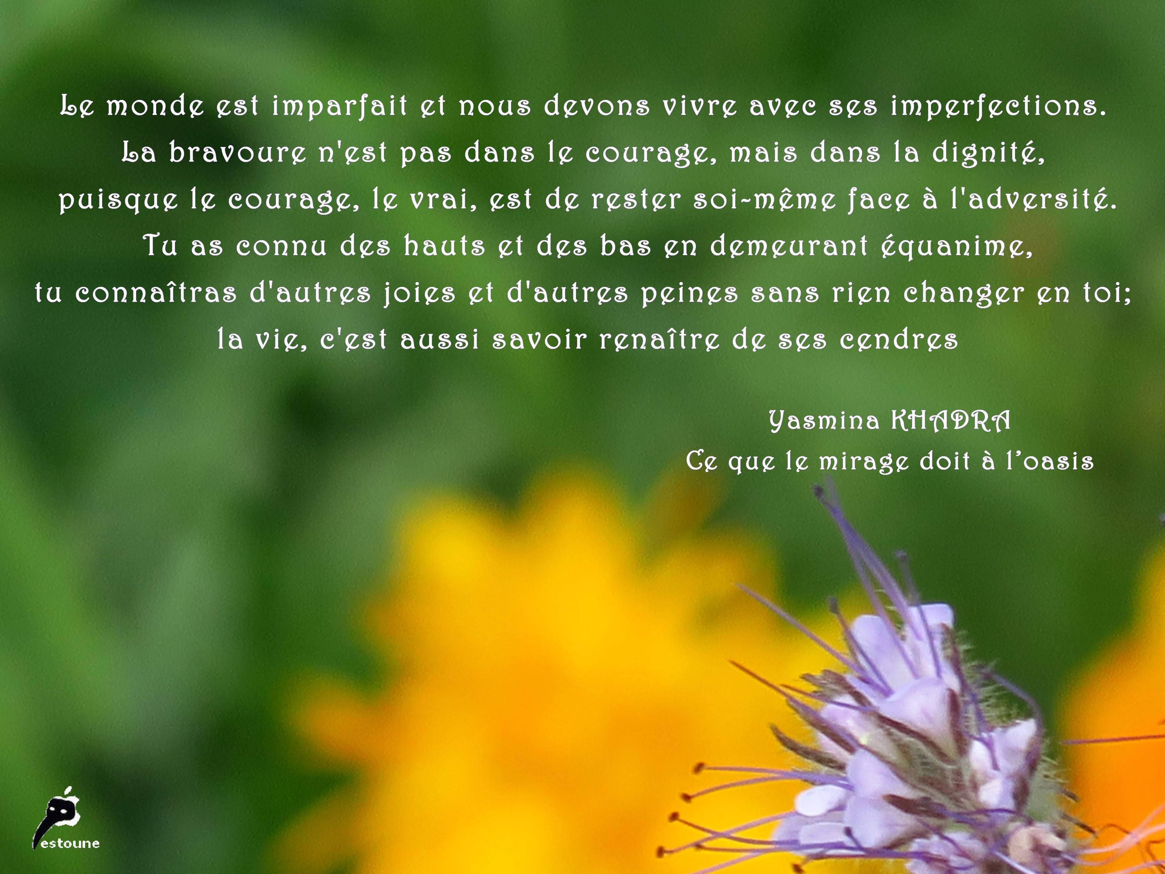 Image De Citation Citation Sur La Vie Kaakook