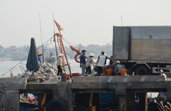 Thương lái tiếp tục mua gom cá chết ở miền Trung, trong khi cá sống do ngư dân đánh về đang bị ép giá thê thảm