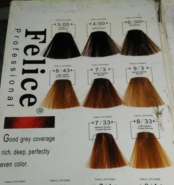 Gaya Terbaru 12 Varian Warna Cat Rambut Felice 