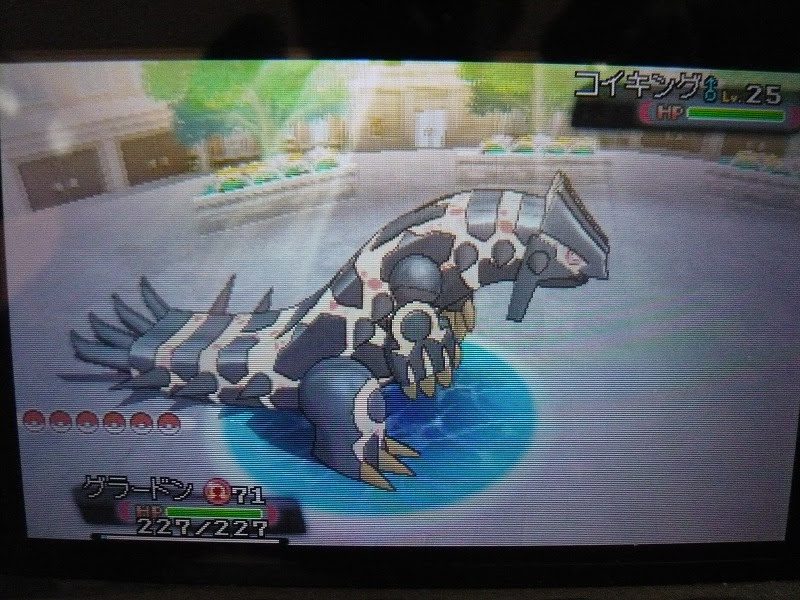 ディズニー画像のすべて トップ100 ポケモン Xy 伝説 色 違い