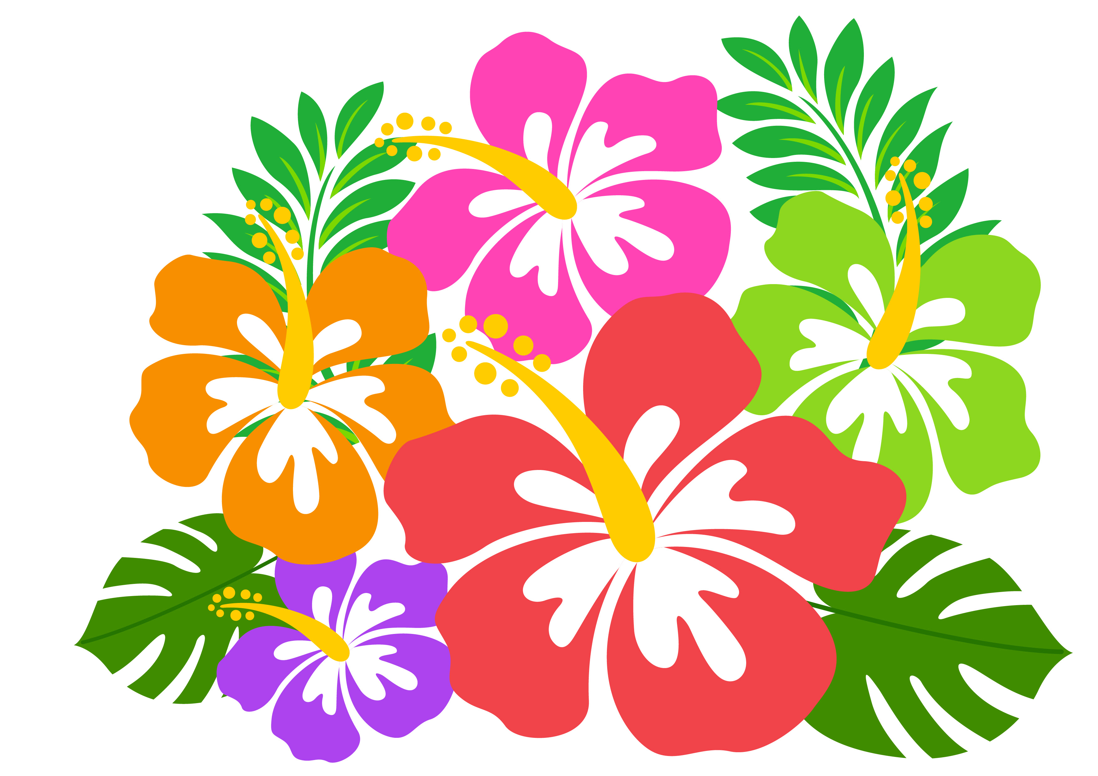 トップ1008月の花 イラスト 最高の動物画像