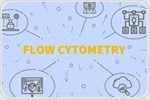 How are Photodiodes Used in Flow Cytometry?