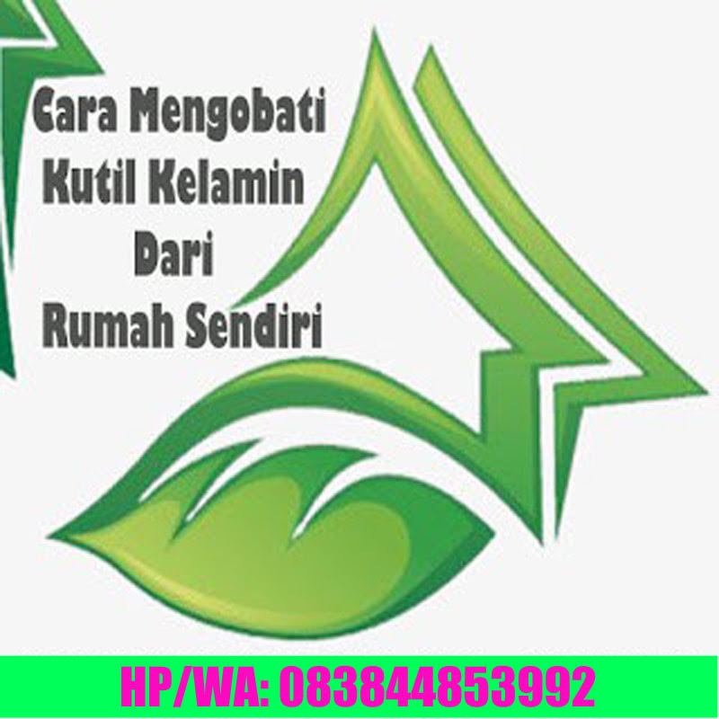 Ubat Penyakit Kutil Kelamin - Temblor En