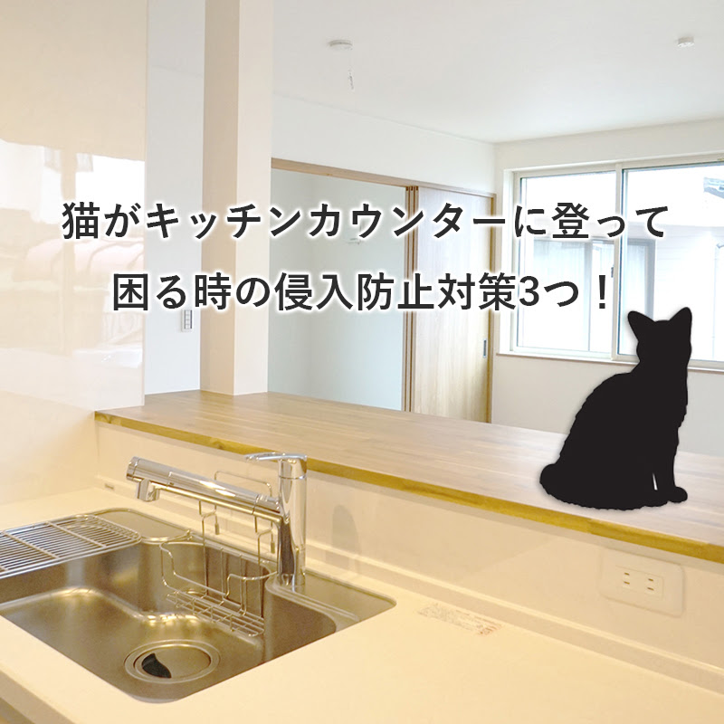 優れた 猫 シンク 対策 - 壁紙イラストHD