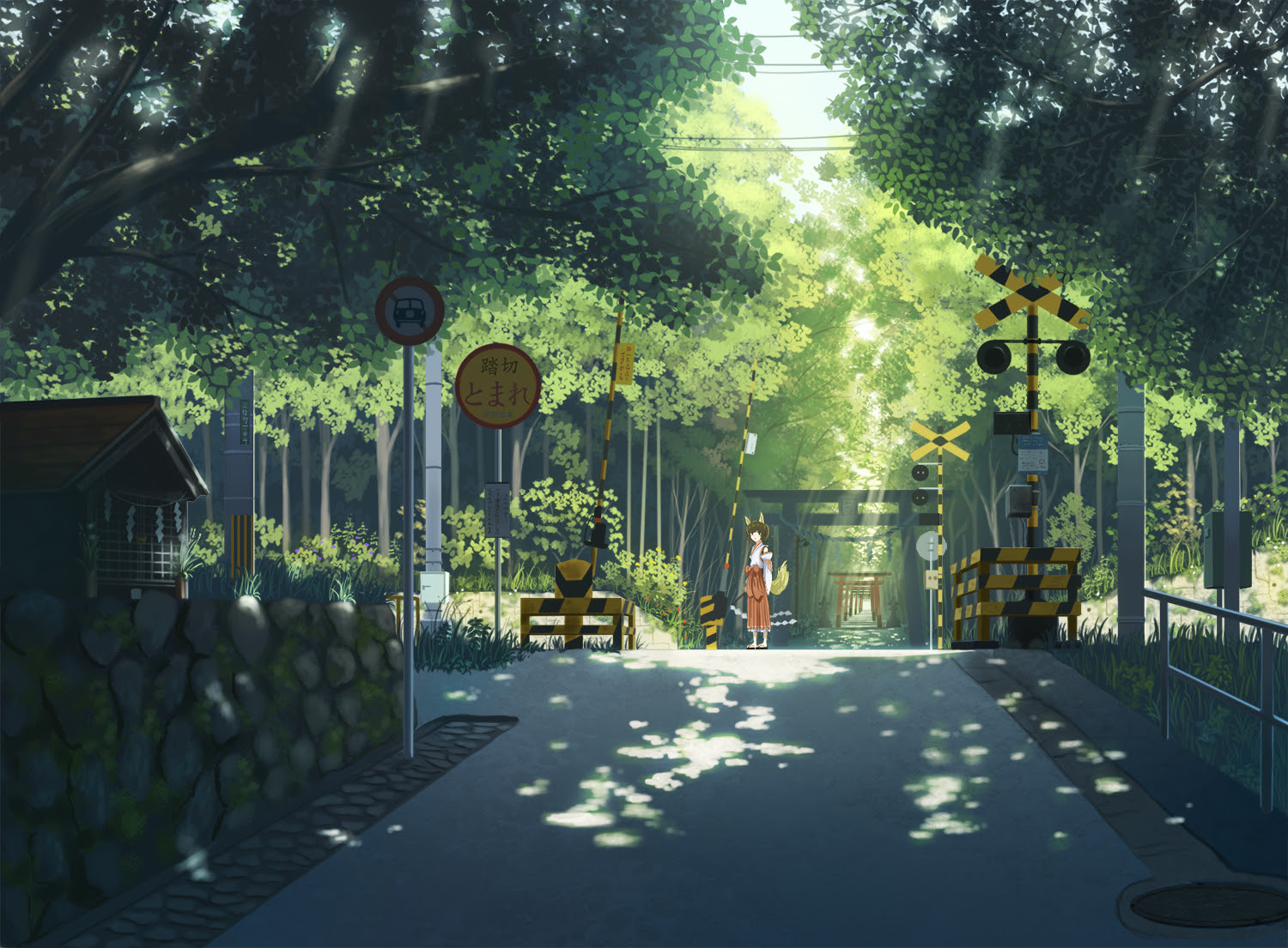 すべての花の画像 75 ノスタルジック Pc 壁紙 夏