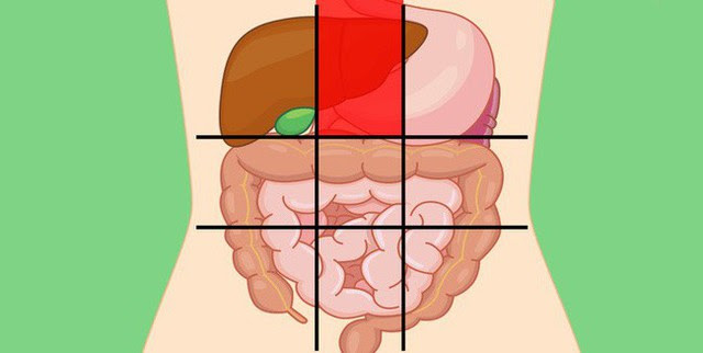 Nhờ bản đồ bụng này mà bạn sẽ biết các cơn đau ở mỗi vị trí trên bụng là do nguyên nhân nào gây ra - Ảnh 2.