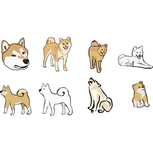 柴犬 犬 走る イラスト 249731