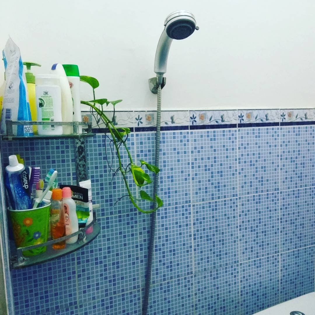  Keramik Lantai Kamar Mandi Warna Biru Desain Rumah 