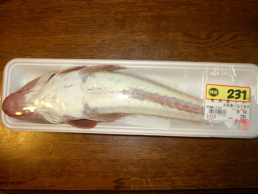 驚くばかりマゴチ 料理方法 最高の花の画像