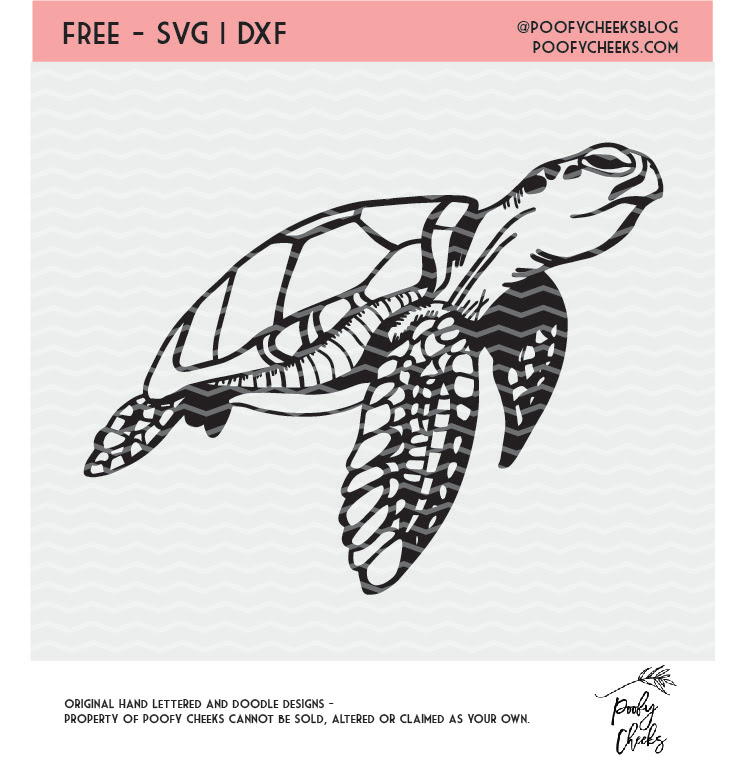 Free Turtle Svg Cut File