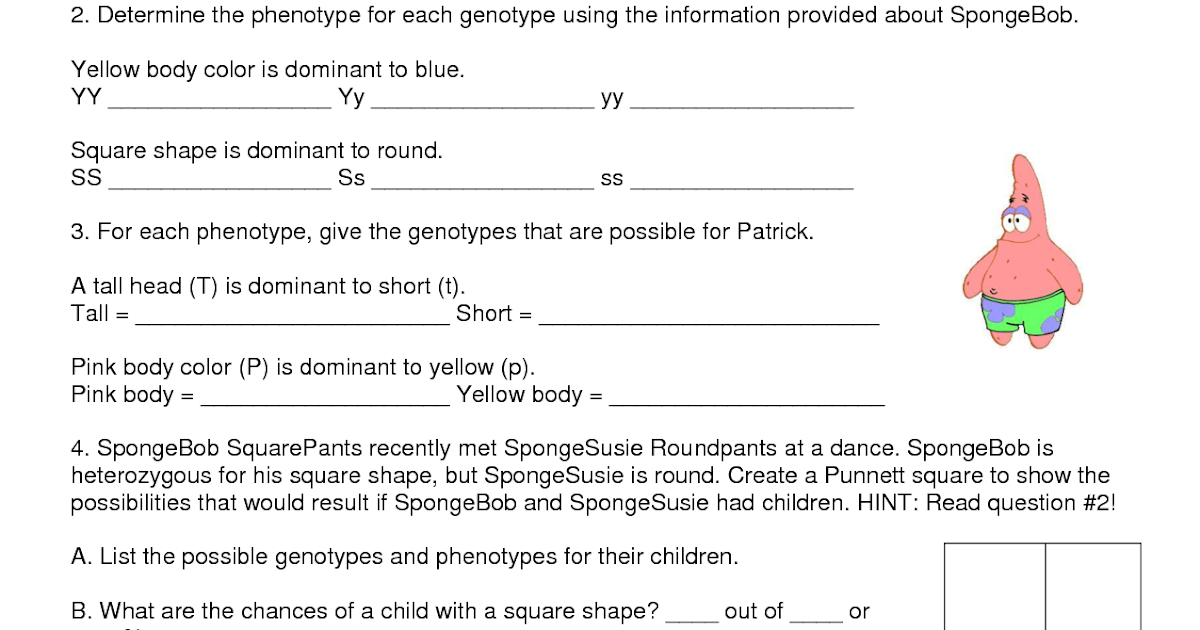 31 Spongebob Worksheet For Biology - Worksheet Resource Plans