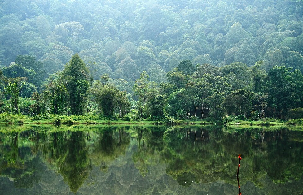 Contoh Ekosistem Di Indonesia - Contoh Bu