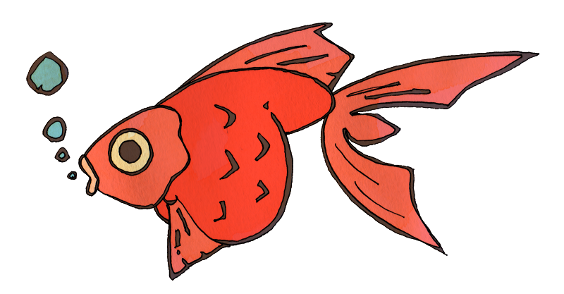 人気ダウンロード 金魚 イラスト 書き方 1678 金魚 イラスト 書き方 Gazojpticket