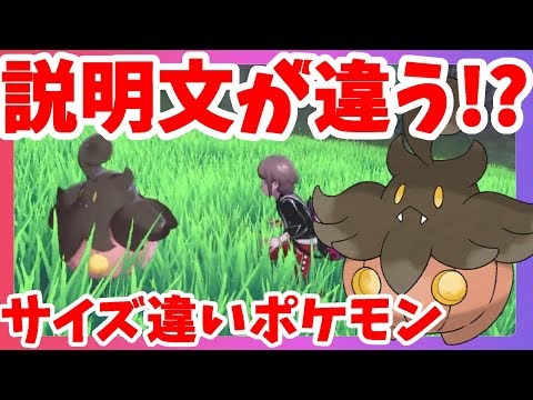 いろいろ ポケモン バケッチャ サイズ 見分け方 2515 ポケモン バケッチャ サイズ 見分け方 Yo Ayo