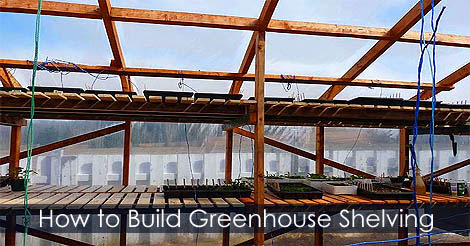 Look through these amazing and easy to build diy greenhouse plans to get inspired and start growing this weekend. How To Make Greenhouse Shelving Shelves Benches Tables
