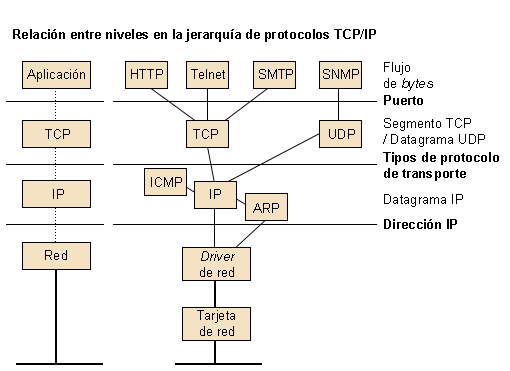 Una de esas ventajas es que es capaz de trabajar sobre una extensa gama de hardware y. Componentes De Red Mas Comunes