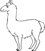 Llama alpaca digital coloring pages, pdf + jpeg, instant download. Llama Coloring Pages Free Coloring Pages