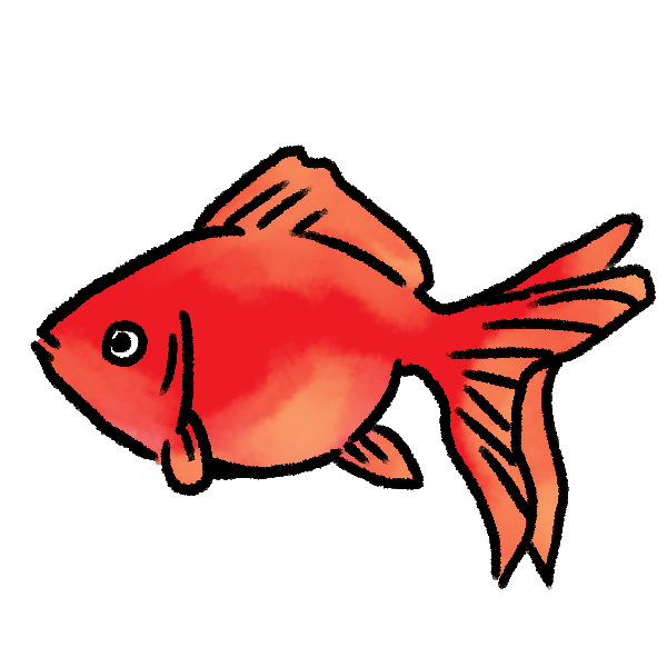 美しい花の画像 50 素晴らしい金魚 イラスト 可愛い