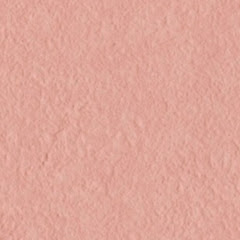 最新サーモン ピンク 壁紙 最高の花の画像