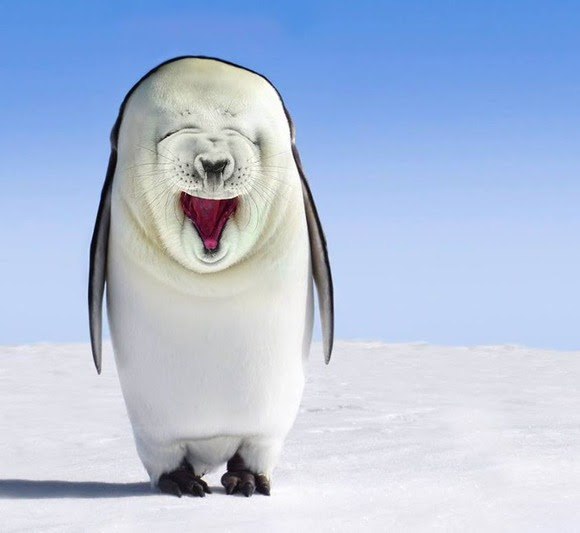 かわいいディズニー画像 トップ100 リアル かわいい アザラシ イラスト
