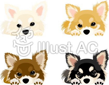 上可愛い チワワ イラスト 簡単 ただのディズニー画像