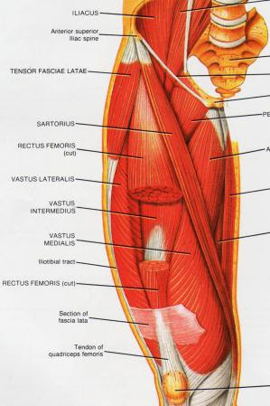 Examples that help finger movement. Iliotibial Band Syndrome