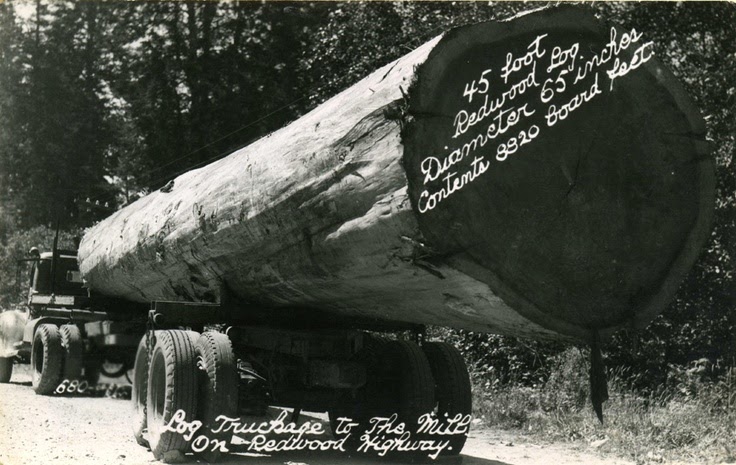 woodworking: Redwood Highway Old Woodworking Photos Pinterest