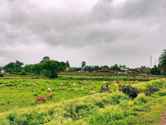 Monsoon in Odisha