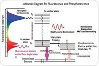 Fluorescence Spectroscopy - Applications and Principles